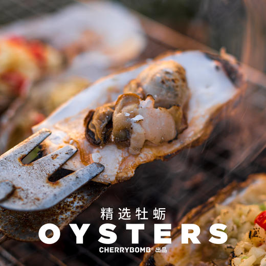 生蚝肥了！威海乳山牡蛎生蚝约5斤/10斤装  顺丰包邮 商品图8