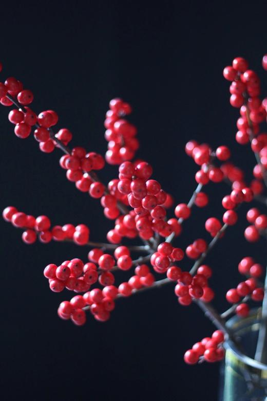 【周四秒杀】北美冬青2枝78元 商品图0