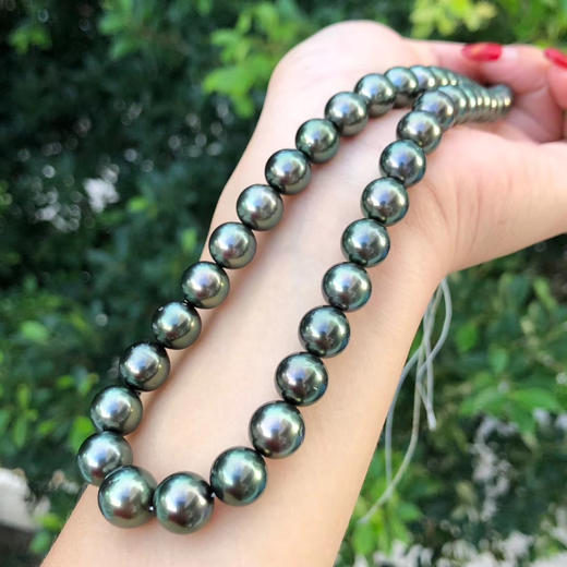 大溪地珠链孔雀绿大溪地珍珠项链一道美丽风景线直径810mm基本正圆微