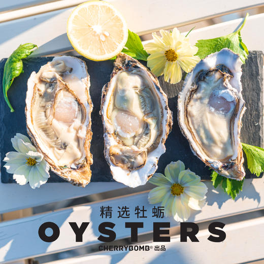 生蚝肥了！威海乳山牡蛎生蚝约5斤/10斤装  顺丰包邮 商品图10