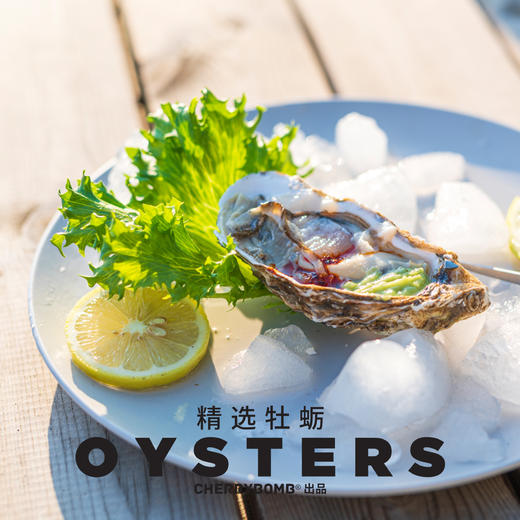 生蚝肥了！威海乳山牡蛎生蚝约5斤/10斤装  顺丰包邮 商品图4