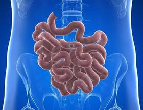 第06课：小肠经路线重要大穴