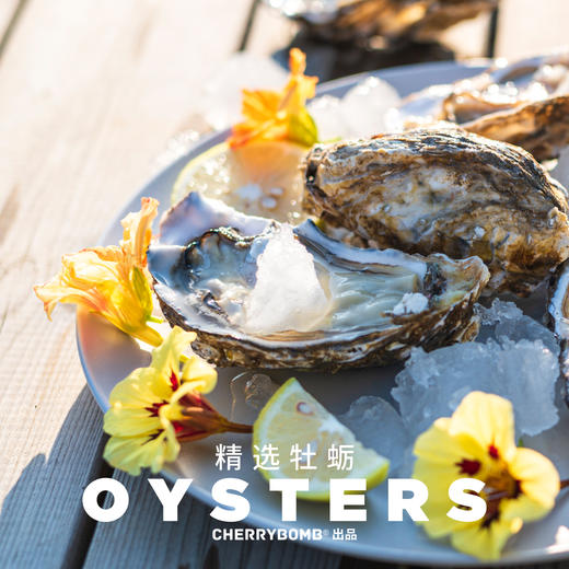 生蚝肥了！威海乳山牡蛎生蚝约5斤/10斤装  顺丰包邮 商品图5