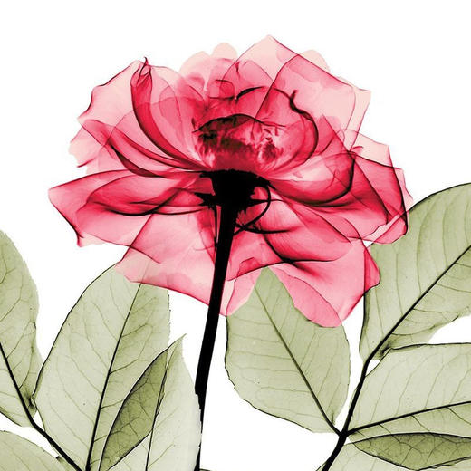 虚测试 商品图1