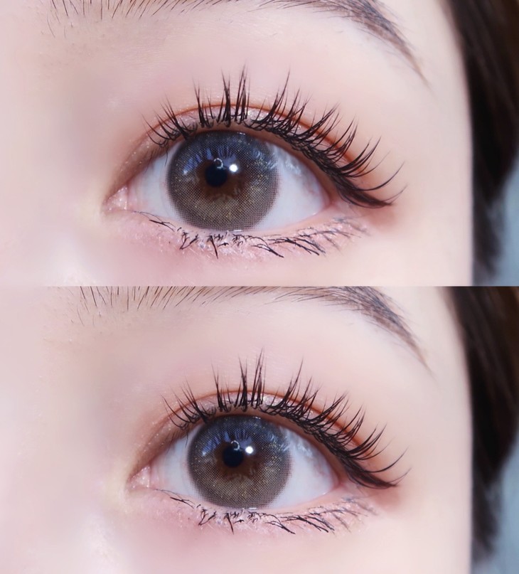 bollycon丛林荧光papablack年抛两片装140mm着色132mm