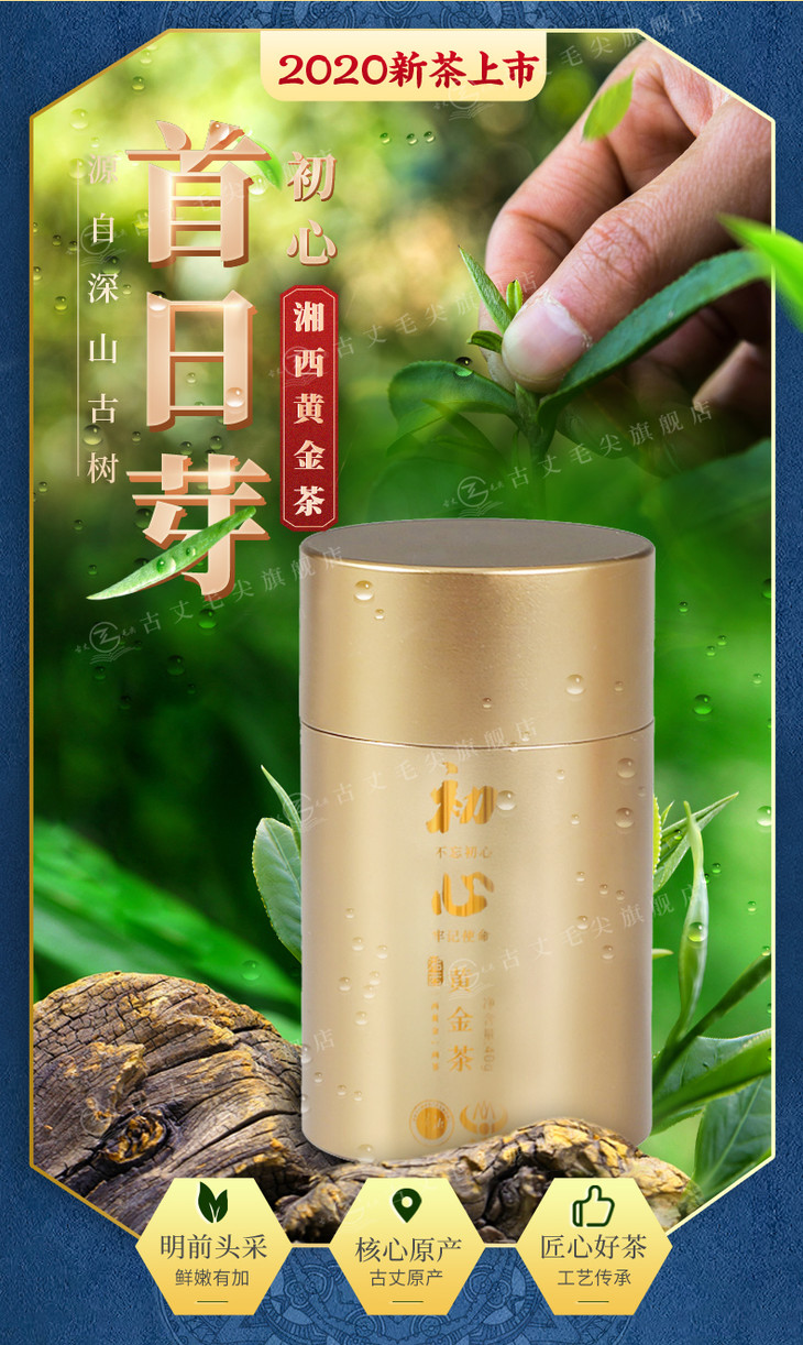 初心首日芽黄金茶湖南湘西古丈县初心首日芽黄金茶40g