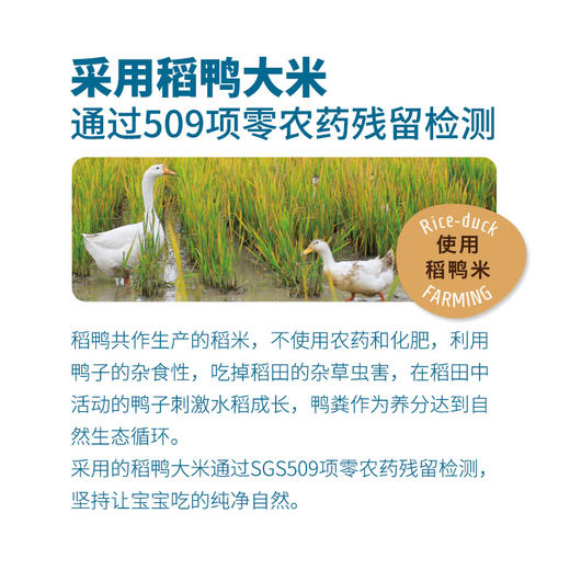 5种口味可选台湾禾泱泱RIVSEA稻鸭原生米饼不加糖盐藜麦饼 商品图4