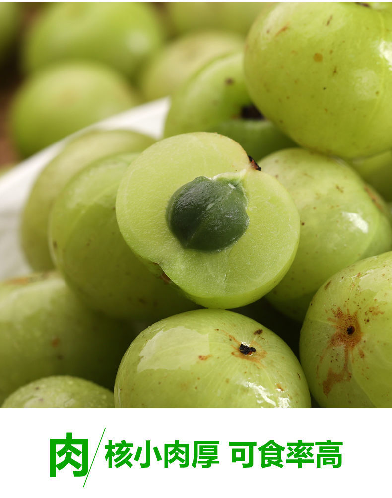 新鲜余甘果油甘果现摘现发牛甘果滇橄榄果回甘孕妇酸