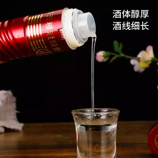 五粮液天下酒仓典藏红瓶 52度浓香型白酒 整箱6瓶*500ml包邮 商品图4