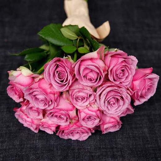 【读本鲜花】玫瑰--冷美人 20支/扎47元