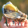 生蚝肥了！威海乳山牡蛎生蚝约5斤/10斤装  顺丰包邮 商品缩略图3