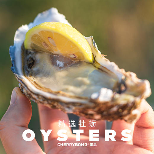 生蚝肥了！威海乳山牡蛎生蚝约5斤/10斤装  顺丰包邮 商品图3