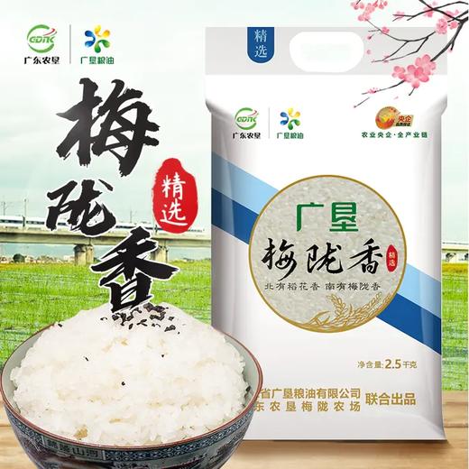 【广垦优品】广垦精选梅陇香米2.5kg 商品图2