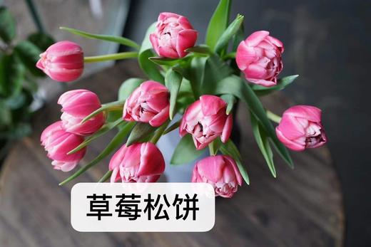国产郁金香-草莓松饼.10枝/扎 商品图2