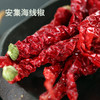 新疆辣椒干辣皮子沙湾安集海长线椒 500g/袋 商品缩略图0
