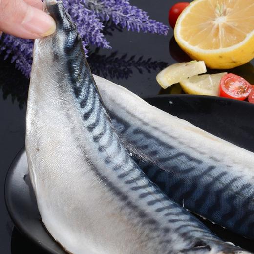 【再送一包  实收4包】出口级无骨盐渍青花鱼片（450g*3包）一包5-6片 商品图2