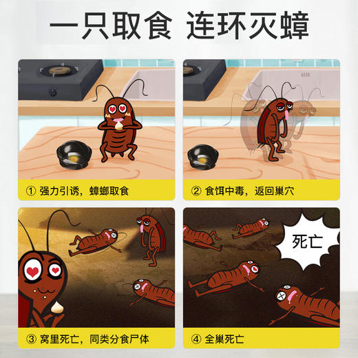 【小黑屋蟑螂屋】-现货 商品图5