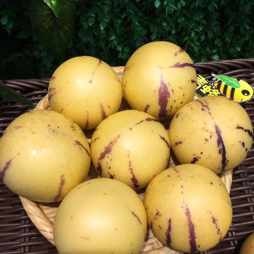 特级云南精选树上熟七彩人参果约48斤装