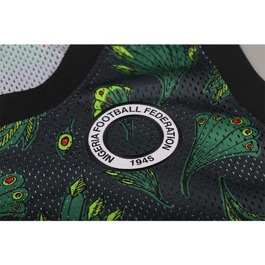NIKE/耐克 尼日利亚2020 夏季足球背心CU1399302 商品图2