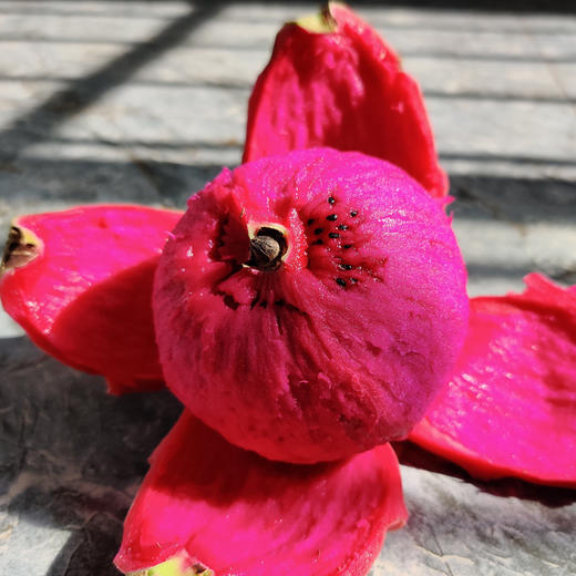 云南红心火龙果 商品图3