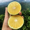 云南哀牢山青皮冰糖橙4/9斤装（后期果皮会转变成黄色发货）  八甜2酸 商品缩略图1