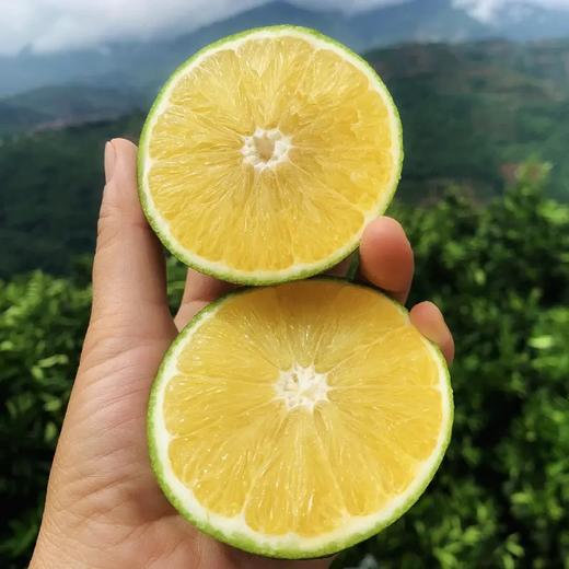 云南哀牢山青皮冰糖橙4/9斤装（后期果皮会转变成黄色发货）  八甜2酸 商品图1