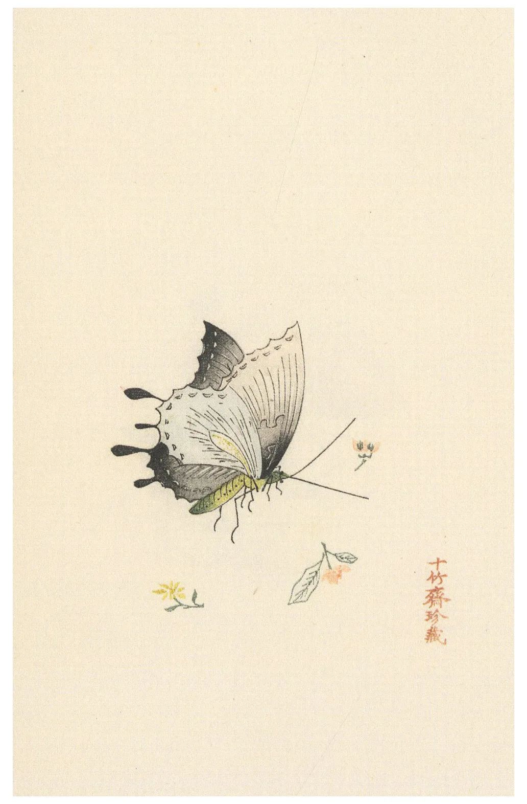 十竹斋笺谱 凤子禽鱼笺往往单取一物绘之,因此画面主体较一般绘画而言