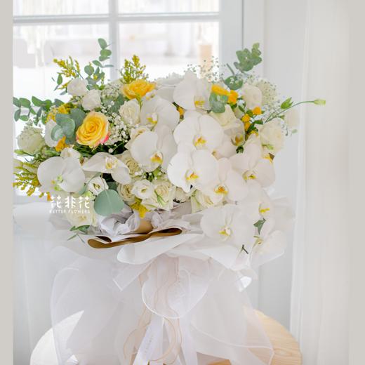 《蝴蝶》-巨型蝴蝶兰花束 商品图1