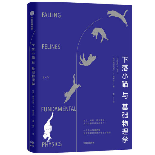 【10月官微重点书单】下落小猫与基础物理学 格雷戈里J格布尔 著  基础物理学 物理学研究报告 中信出版社图书 正版 商品图1