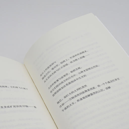 梦的译者 梅德维德诗选 斯洛文尼亚文学丛书 外国诗歌 现代主义 正版 华东师范大学出版社 商品图2