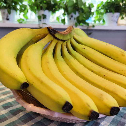 香蕉 3斤装 商品图1