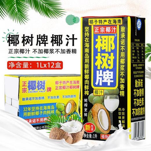海南椰树椰子汁大盒1L 商品图1