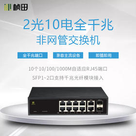 2光10电全千兆非POE网络交换机G1012L