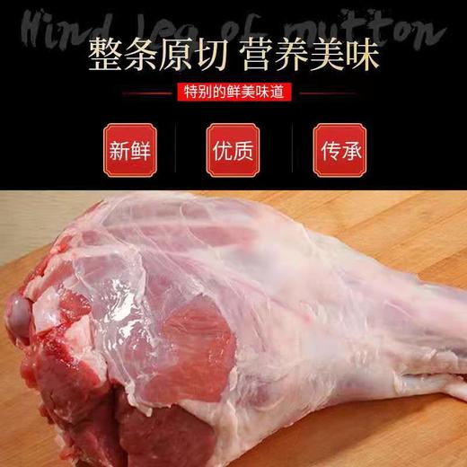 江布拉克羊羔肉 2.5kg、5kg、独立羊腿 赠送肉苁蓉片100g，枸杞50g 商品图1