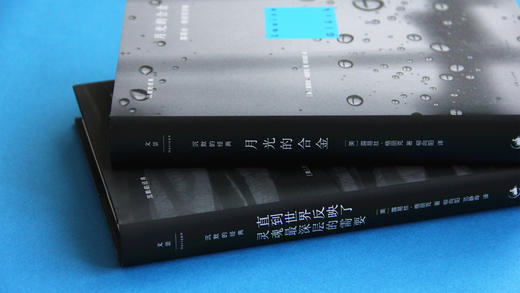 【图书】月光的合金 商品图2