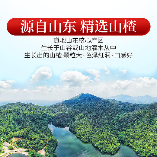 庄民 山楂干 片片精选好货 颗颗中心圈无籽穿心 茶叶花果茶泡水120g/罐 商品图5