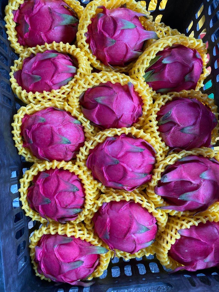 周四秒杀海南蜜宝营养丰富超甜无比鲜嫩多汁果肉糯滑