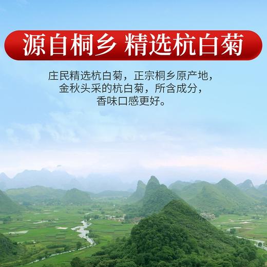 庄民杭白菊 精选好货 正宗桐乡原产杭白菊搭配柠檬片组合花茶 菊花茶25g 商品图5