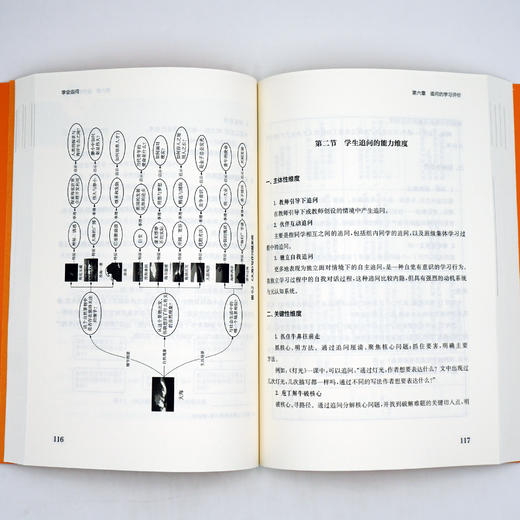 学会追问 问题化学习丛书 王天蓉 王达 顾稚冶等编著 正版 华东师范大学出版社 商品图2