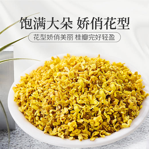 庄民 桂花 杂质少干花 桂花茶泡水25g/罐 商品图8