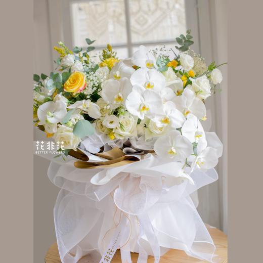 蝴蝶巨型蝴蝶兰花束