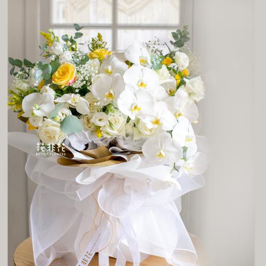 《蝴蝶》-巨型蝴蝶兰花束 商品图0