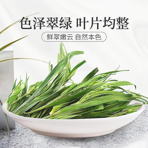 庄民 淡竹叶茶 蒲公英薏米搭配伴侣 茶叶花草茶泡水 精选好货20g/罐 商品图1