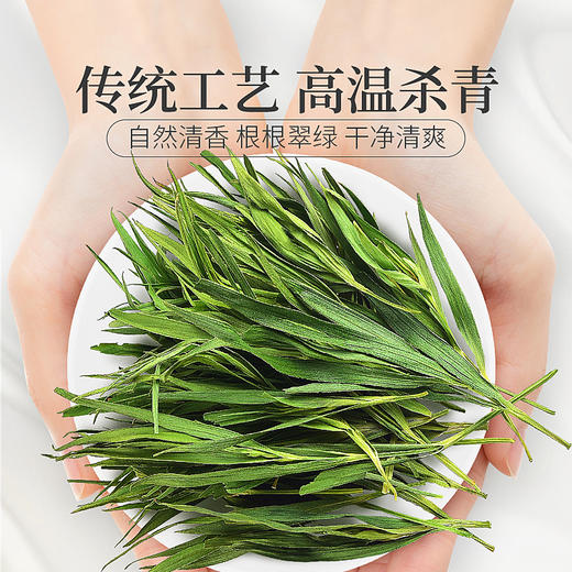 庄民 淡竹叶茶 蒲公英薏米搭配伴侣 茶叶花草茶泡水 精选好货20g/罐 商品图2