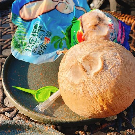 爆款~【泰国烧烤椰“搞定椰”】多规格任选，便携式独立包装，走到哪喝到哪儿~ 商品图2