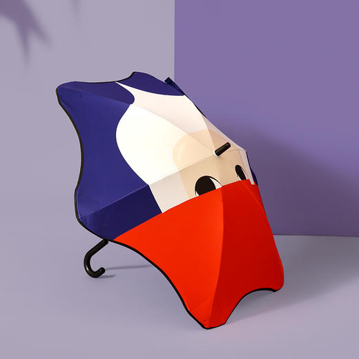 【小小王子精选】MISSRAIN儿童雨伞小学生男女学生幼儿园宝宝安全卡通儿童伞晴雨伞 商品图4