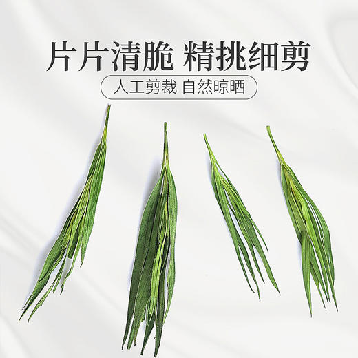 庄民 淡竹叶茶 蒲公英薏米搭配伴侣 茶叶花草茶泡水 精选好货20g/罐 商品图4