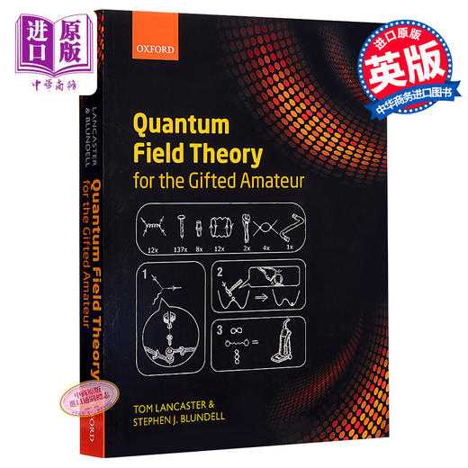 预售 【中商原版】Quantum Field Theory for the Gifted Amateur 英文原版 天才业余爱好者的量子场论 Tom Lancaster 商品图0