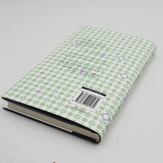 梦的译者 梅德维德诗选 斯洛文尼亚文学丛书 外国诗歌 现代主义 正版 华东师范大学出版社 商品图3