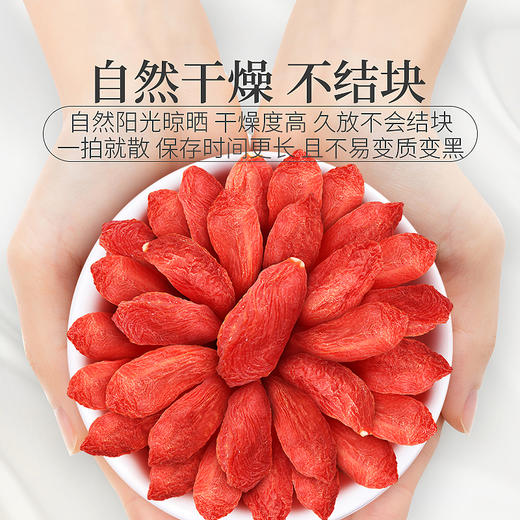 庄民 枸杞 宁夏中宁红枸杞 精选大颗粒好货 花草茶叶泡水 五宝茶搭配伴侣180g/罐 商品图1